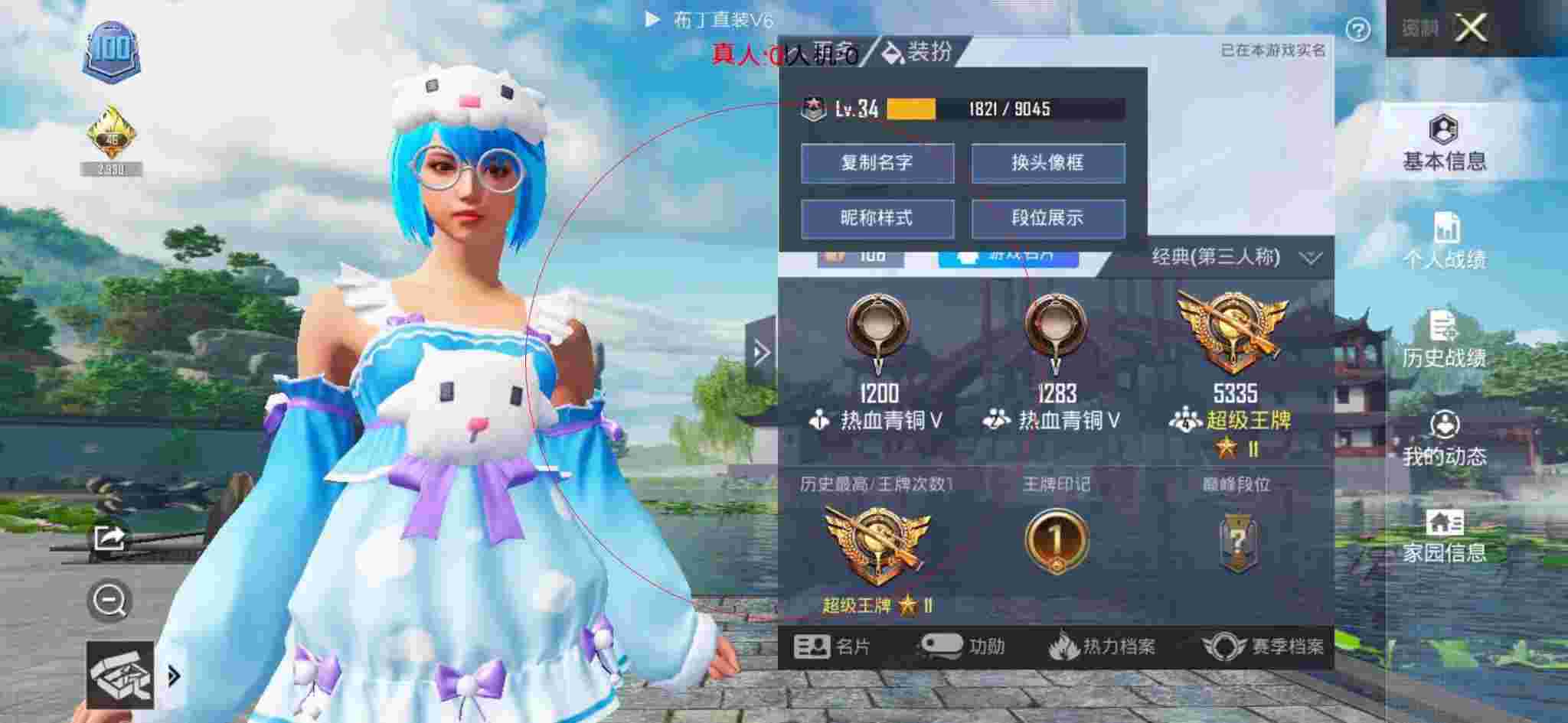和平精英布丁直装透视 - 和平精英黄冠辅助app下载辅助预览图